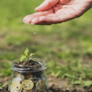 مشروع تيسير الزواج